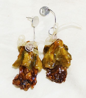 Aretes dulce florecer
