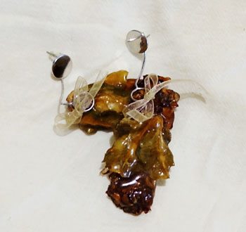 Aretes dulce florecer