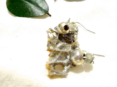 Aretes penca nopal platish